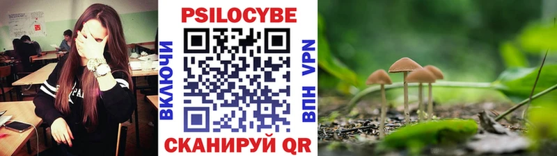Галлюциногенные грибы мицелий  где можно купить   Грозный 