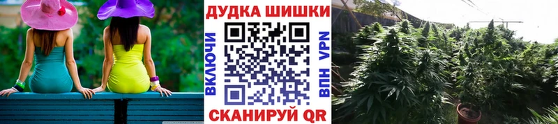 как найти закладки  Грозный  МЕГА как войти  МАРИХУАНА сатива 